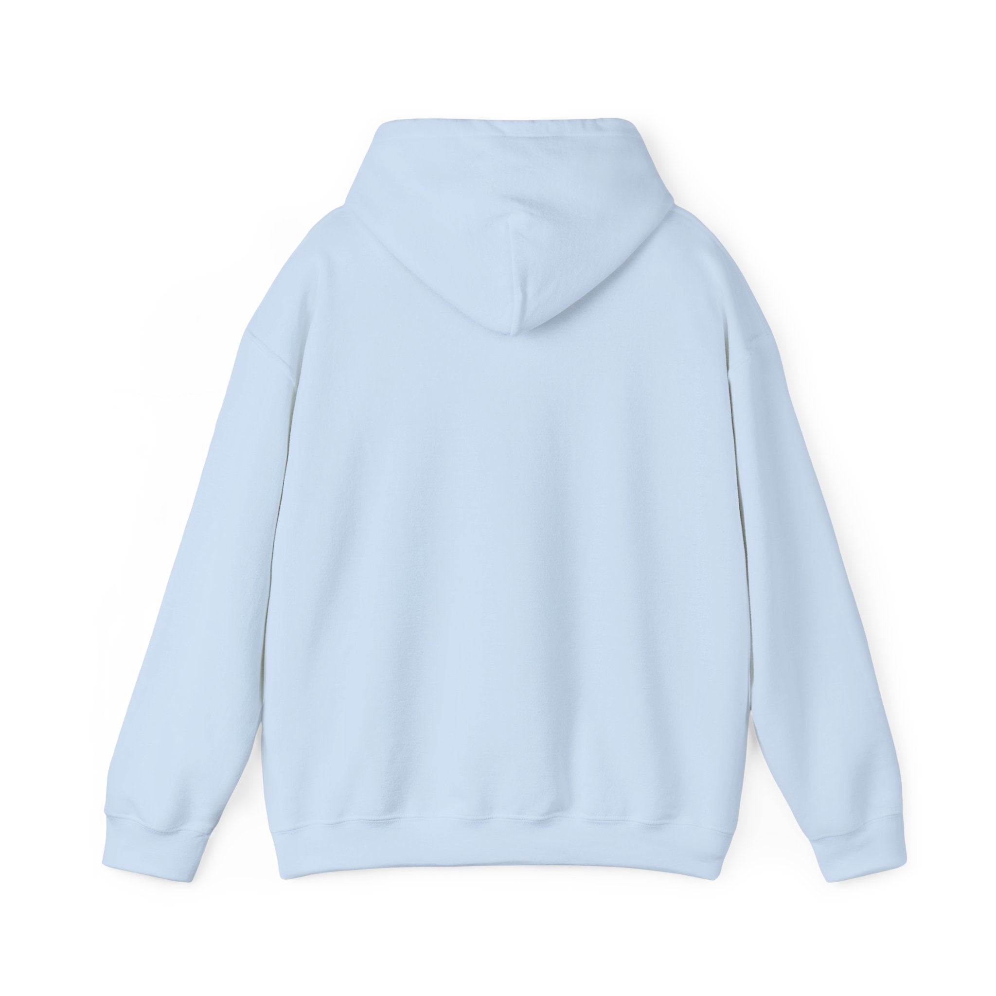 LISH Hoodie — Minimal Vintage Script Pullover (Est. 2026)