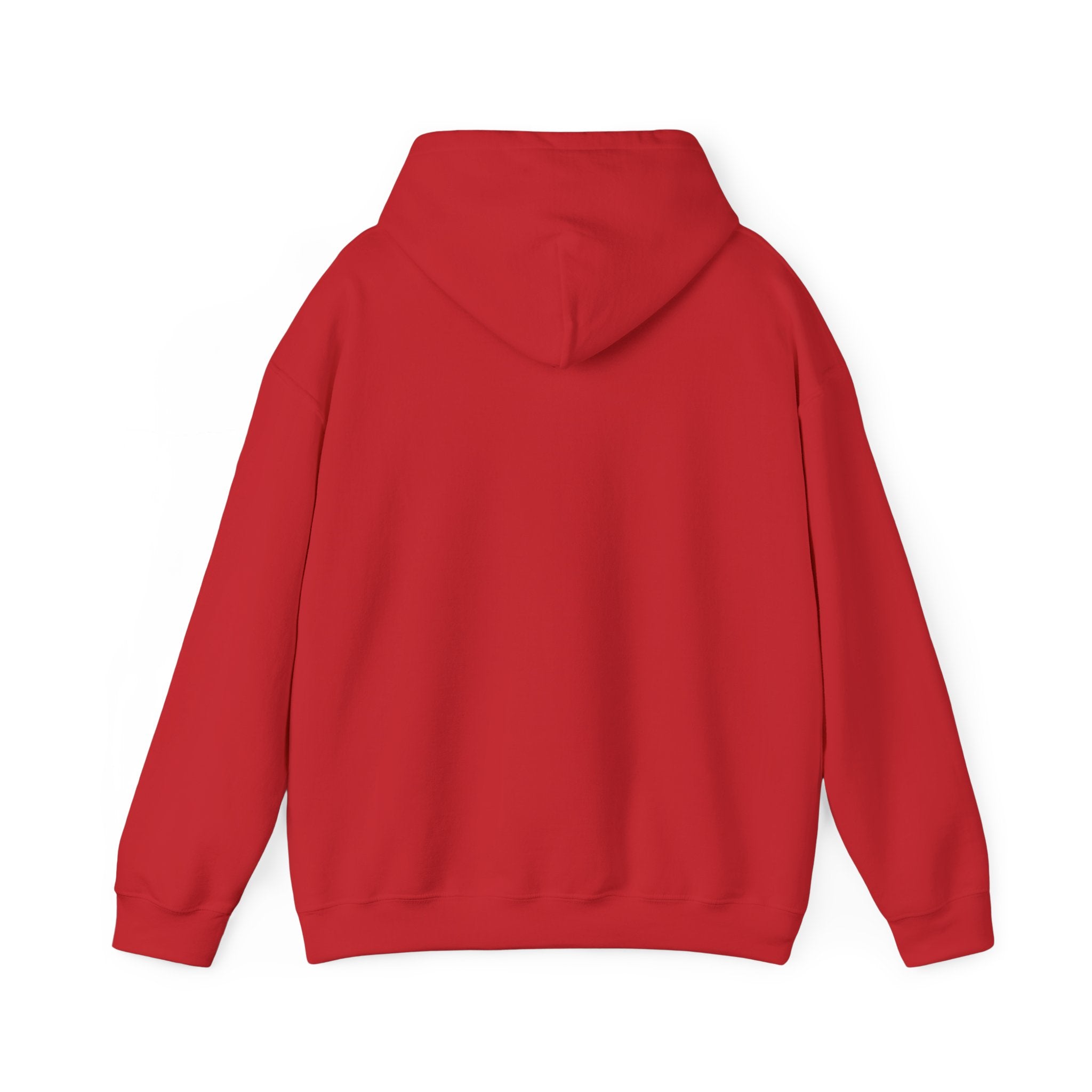 LISH Hoodie — Minimal Vintage Script Pullover (Est. 2026)