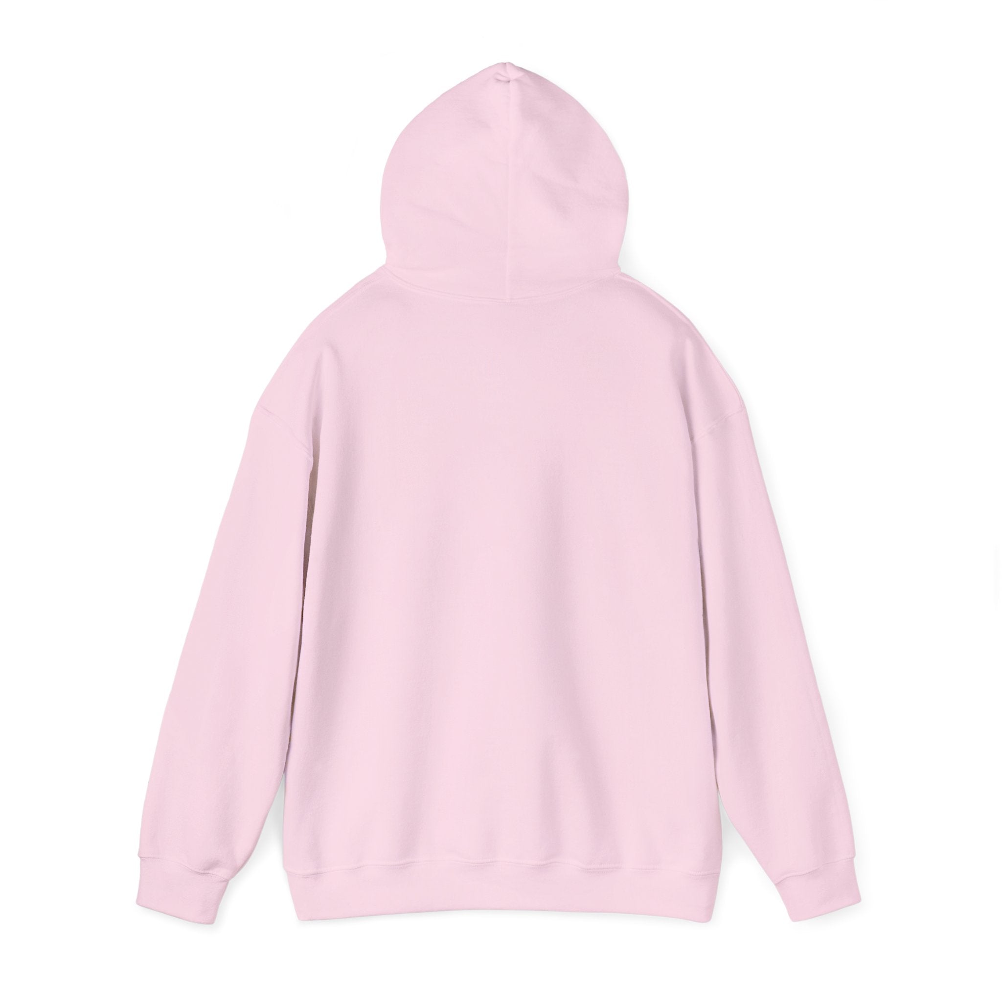 LISH Hoodie — Minimal Vintage Script Pullover (Est. 2026)