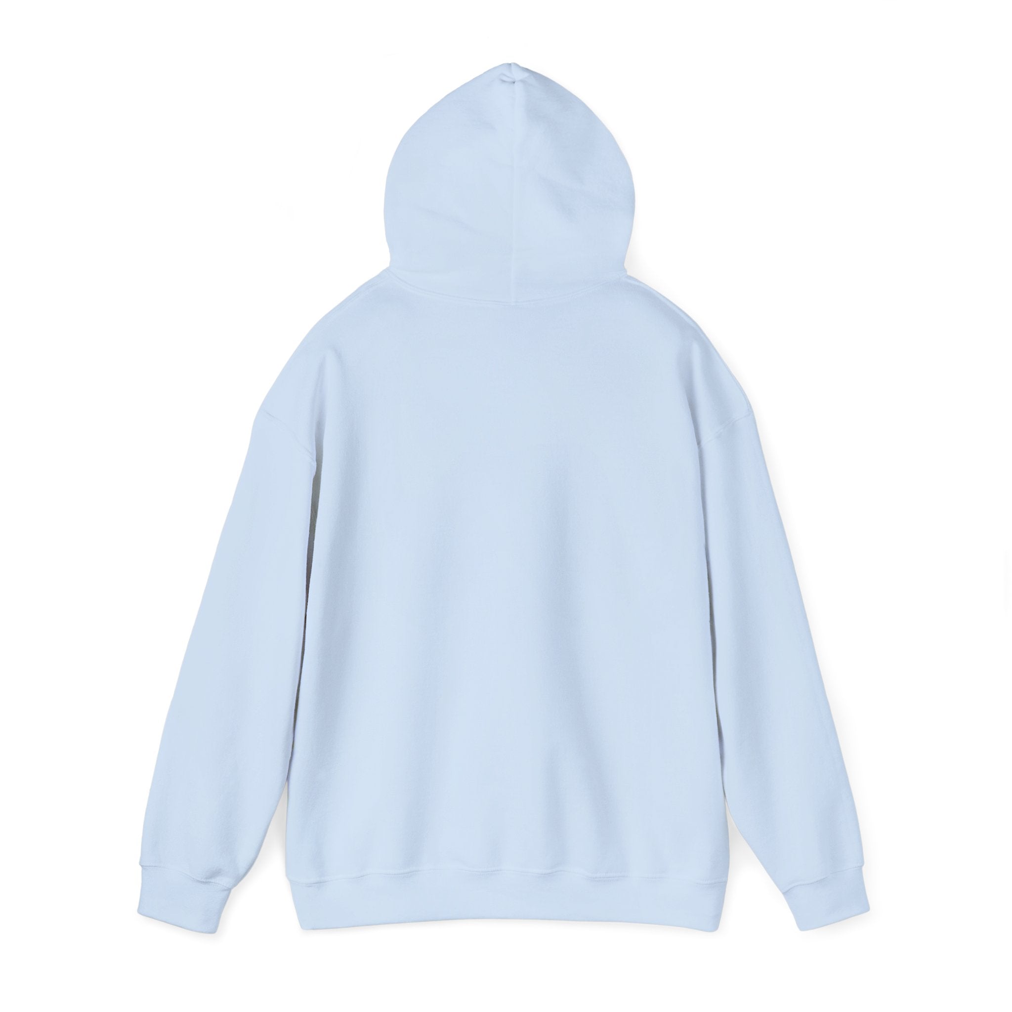 LISH Hoodie — Minimal Vintage Script Pullover (Est. 2026)