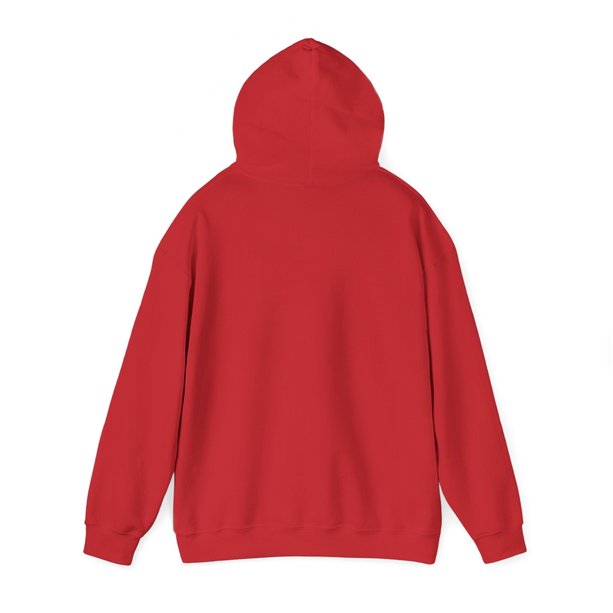 LISH Hoodie — Minimal Vintage Script Pullover (Est. 2026)