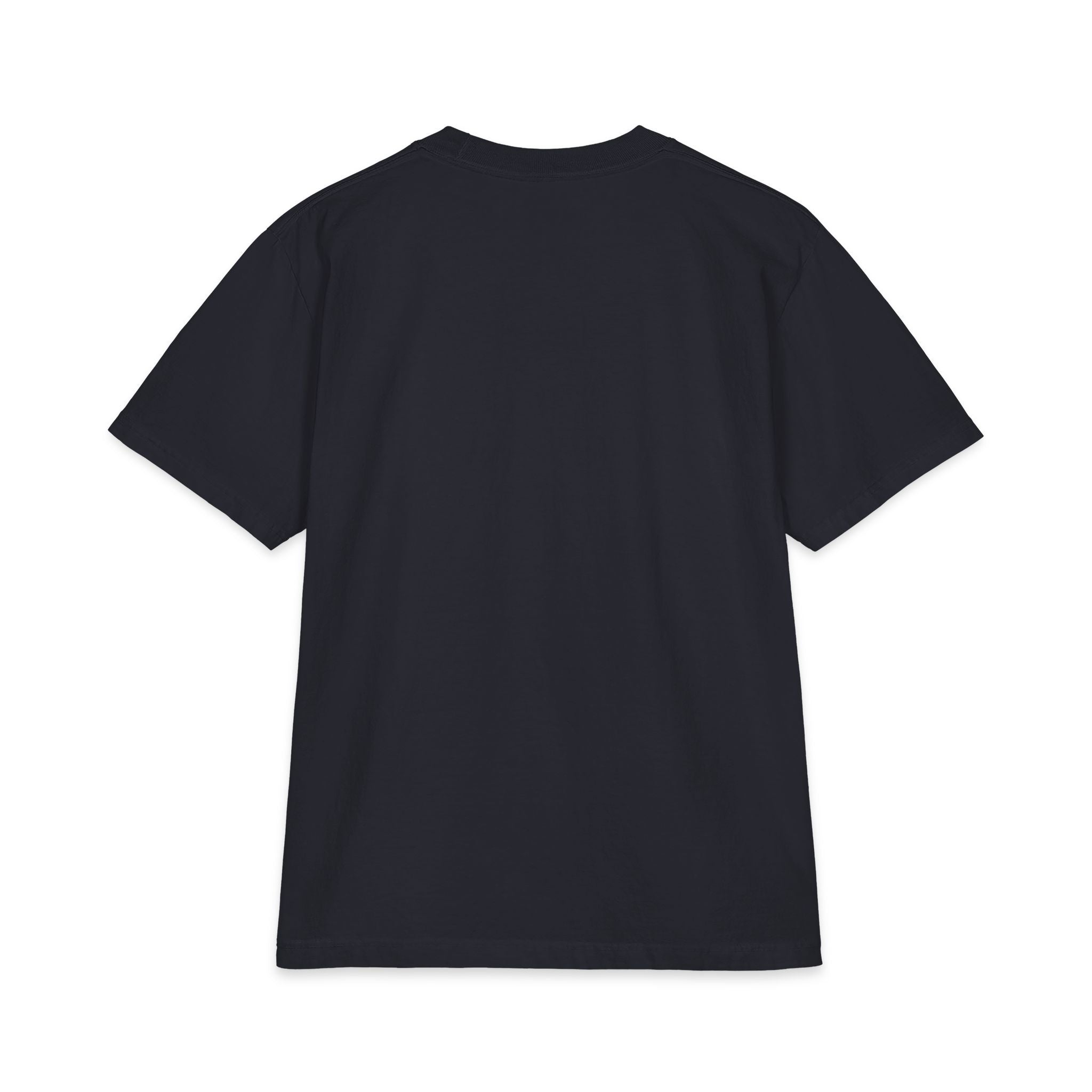 LISH Logo Tee — Vintage Script Graphic T-Shirt (Est. 2026) Heavy
